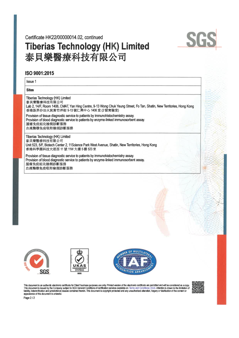 ISO 9001_Tiberias Ltd_Page_2